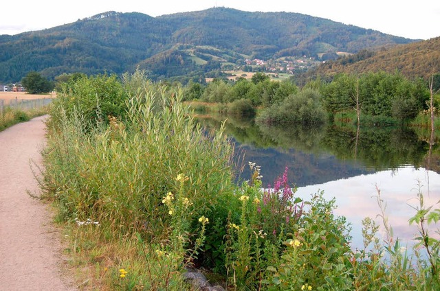 Die Wiese bei Hausen  | Foto: Angelika Schmidt