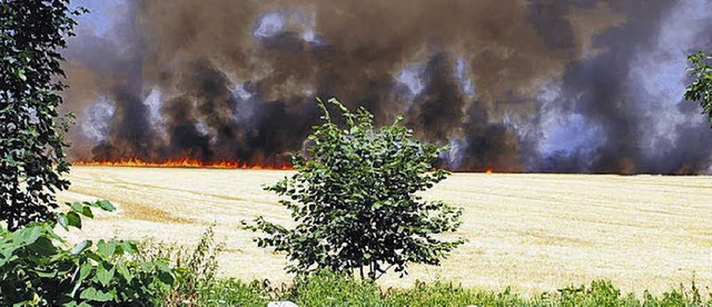 Grere Dimensionen knnen Flchenbrn...s Fahrzeug waren wir machtlos.&#8220;   | Foto: Dinort