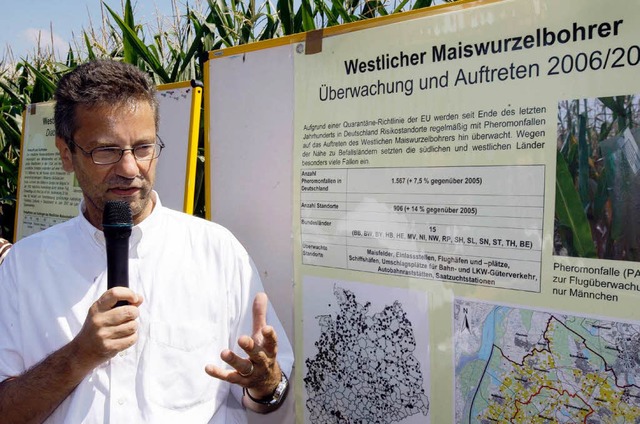 Minister Peter Hauk war bereits vor ei... des Maiswurzelbohrers in der Ortenau.  | Foto: dpa