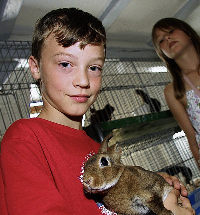 Zchternachwuchs mit Kaninchen in Rust   | Foto: S. Decoux-Kone