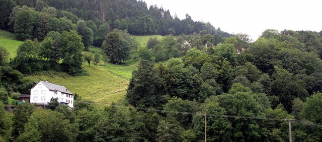 Zwischen Waldesrand (Blick vom Wohngeb...kt. Mehrere Antrge wurden bewilligt.   | Foto: Karin Heiss