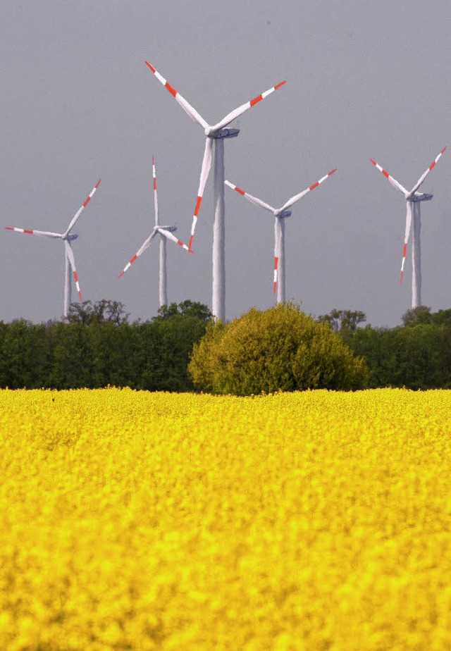 Windkraft und Biomasse sollen hierzulande Arbeit schaffen.  | Foto: ddp