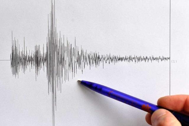 Wie haben Sdbadener das Erdbeben erlebt?