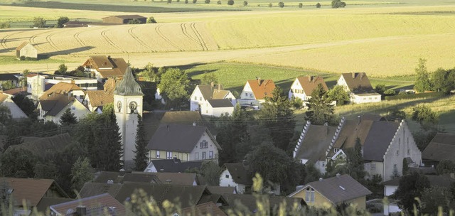 Mehr Feldbraun als Tannengrn: die Baa...smtern Donaueschingens vermarkten.     | Foto: Brunner