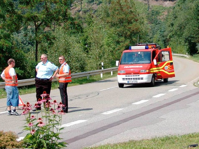 Tdlicher Unfall auf der L 148 Todtmooserstrae  | Foto: Witwicki