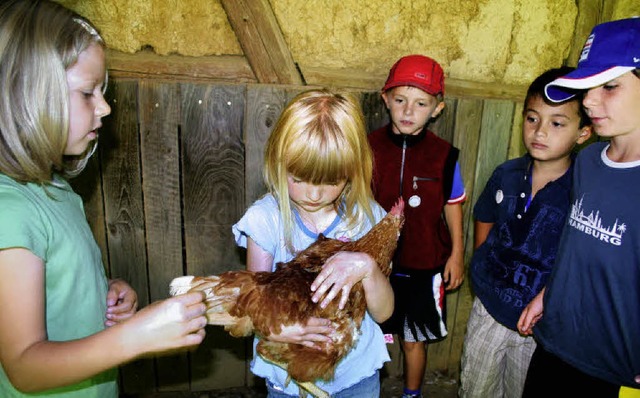 Wer den beherzten Hhnergriff beherrsc...anderen Ferienprojektkindern Respekt.   | Foto: Sabine Model