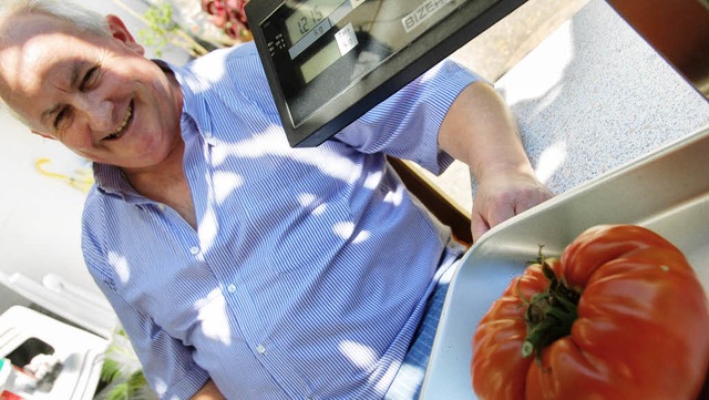 Antonio Parletta aus Wehr hat gut lach...ere Tomate aus dem eigenen Gewchshaus  | Foto: Krug