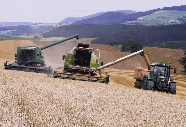 Landwirte im Kreis Waldshut sind derze...Mhdreschern ihr Getreide zu ernten.    | Foto: Jger