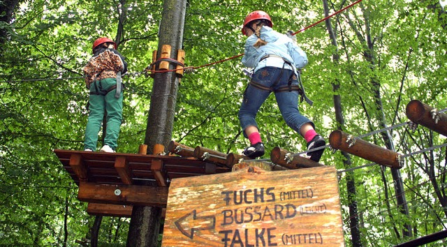 <Bildtext>Da ist fr jeden was dabei: Die Kinder im Abenteuerwald</Bildtext>  | Foto: Max Mielke