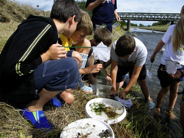 Gespannt schauen die Kinder beim Eichs...Flussbett der Dreisam gefangen haben.   | Foto: manfred frietsch