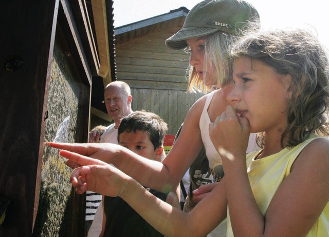 Wo ist  die Knigin? Der offene Schauk..., viele Neues ber Bienen zu erfahren.  | Foto: Eberhard Kopp