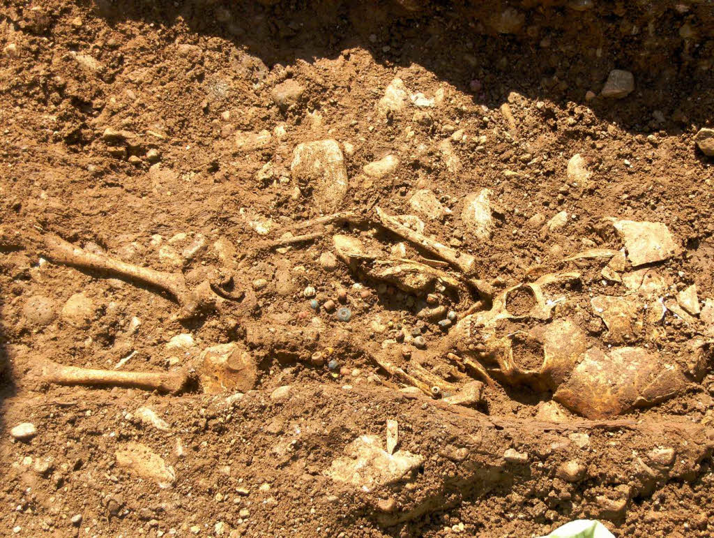 Das Skelett eines etwa sechsjhrigen Mdchens mit Perlenkette.