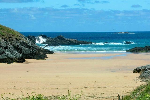 Tdlicher Meersalat? Algenpest in der Bretagne