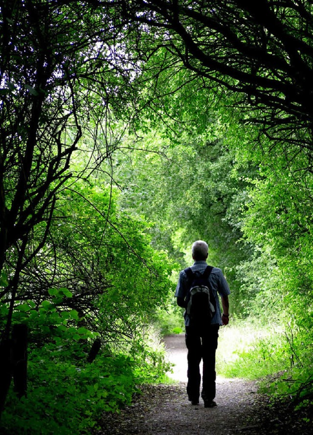 Spaziergnge im Wald. Eine Wohltat fr die Sinne.  | Foto: DPA