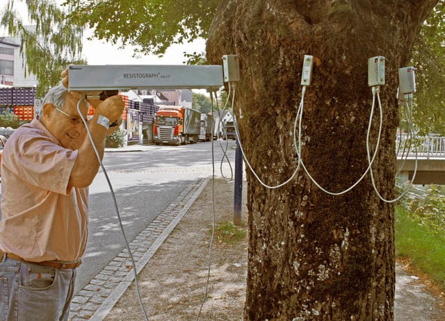 Mit Hightech wird der Gesundheitszusta...  Linde in Donaueschingen berprft.    | Foto: Vollmer