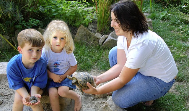 <Bildtext>In diesen Sandkasten hatte S...ben seine Schwester Amelie.</Bildtext>  | Foto: Peter