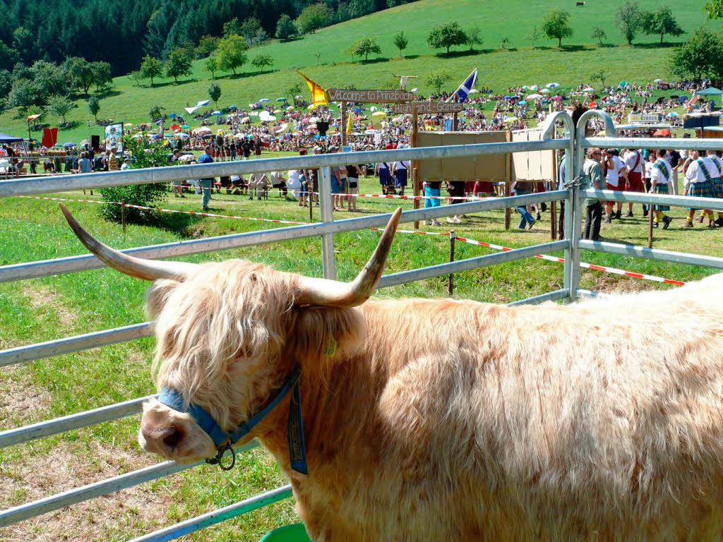 Bei sommerlicher Hitze kam auf der Dorfwiese in Prinzbach eine schottische Atmosphäre auf. Bei sommerlicher Hitze kam auf der Dorfwiese in Prinzbach eine schottische Atmosphäre auf.