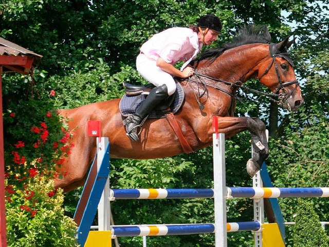 Der  neue Ringmeister im Springreiten:... Eichstetten auf seinem Pferd Lamara.   | Foto: abi