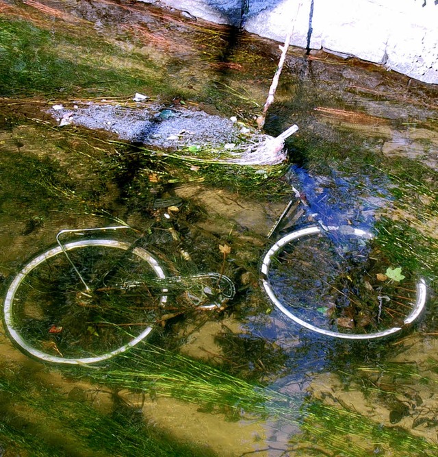 Fahrrad im Gewerbekanal   | Foto: Sabine Ehrentreich