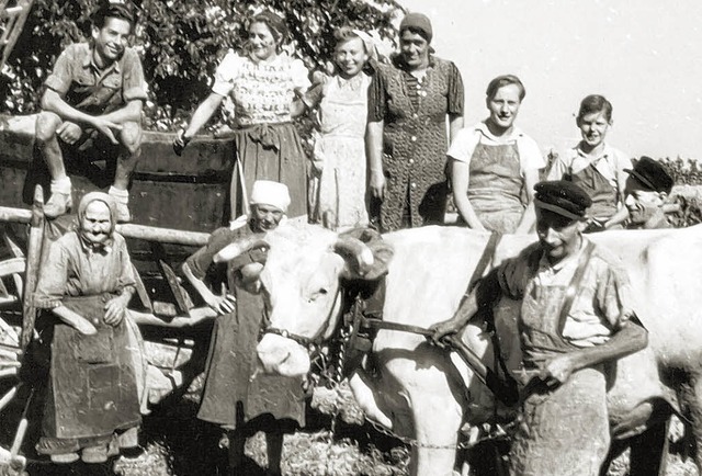 Ein historisches Foto aus vergangener Zeit: einige Gottenheimer beim Hersten.  | Foto: WG Gottenheim