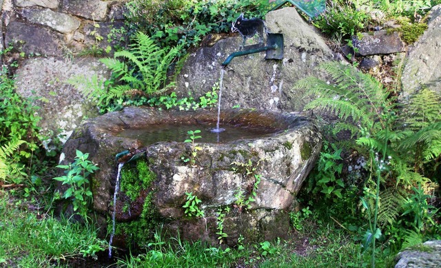 Der Geroldseckerbrunnen am Frauenwaldweg   | Foto: Alfons Vgele