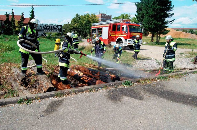Feuerwehreinsatz, um die brennenden Baumstmme zu lschen.  | Foto: feuerwhr herbolzheim