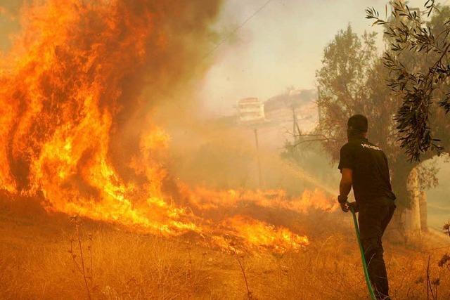 Waldbrände in Griechenland: Keine Entwarnung in Sicht