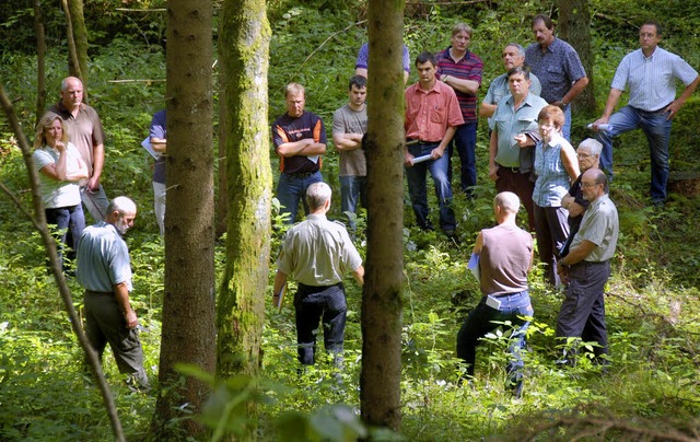 Die Sthlinger Frster  fhrten anlss... fnf Jahre zu typischen Waldbildern.   | Foto: Dietmar Noeske