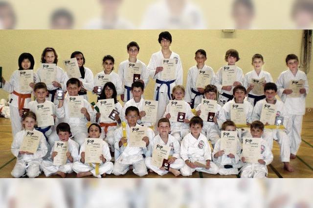 Grtel in allen Farben fr Karate-Jugend