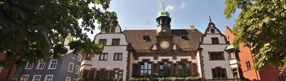 Gemeinderat Freiburg: Stimmkönige und Neulinge