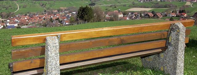 Auch um die Bnke auf dem Saalenberg, ...auf Slden, kmmern sich die Rentner.   | Foto: Tanja Bury