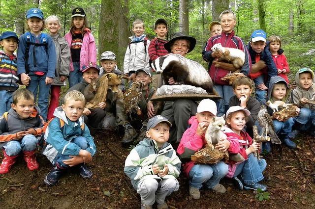 Auf der Suche nach Dachs und Maoam-Insekten