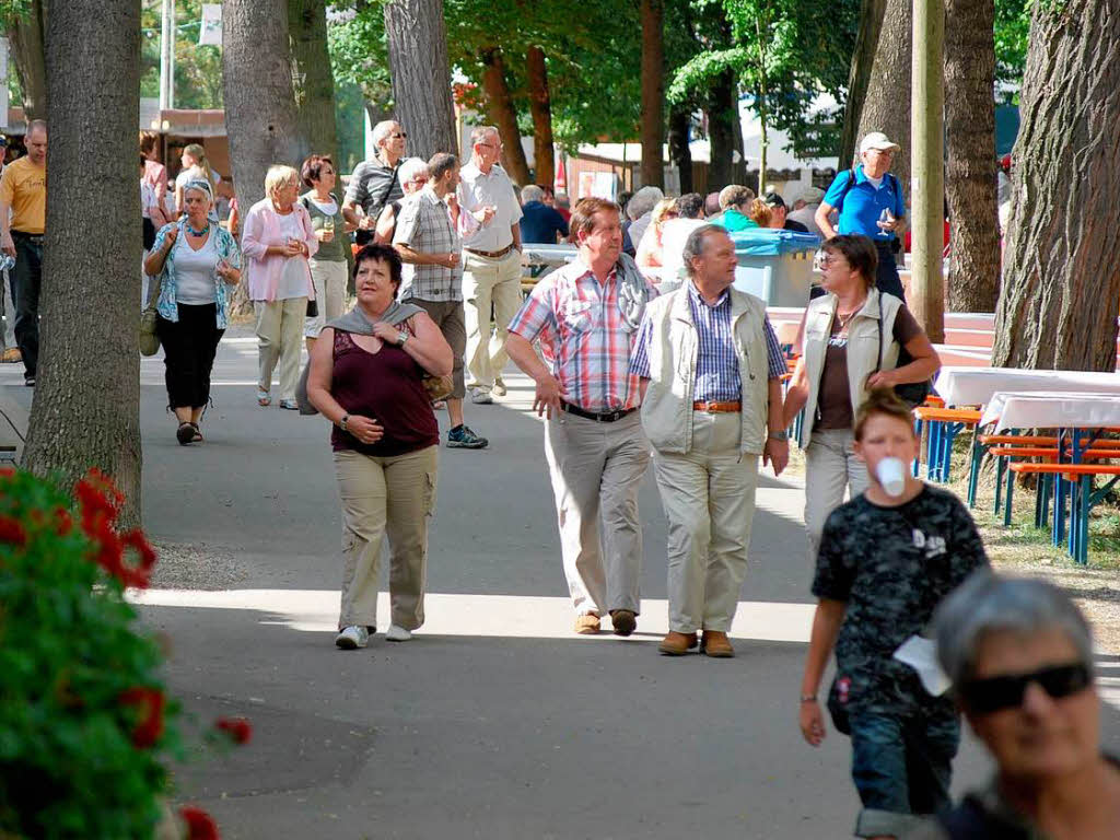 Impressionen vom Weinfest in Breisach