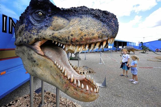 Dinosaurier-Ausstellung: Nicht allen gefallen die Urzeitmonster