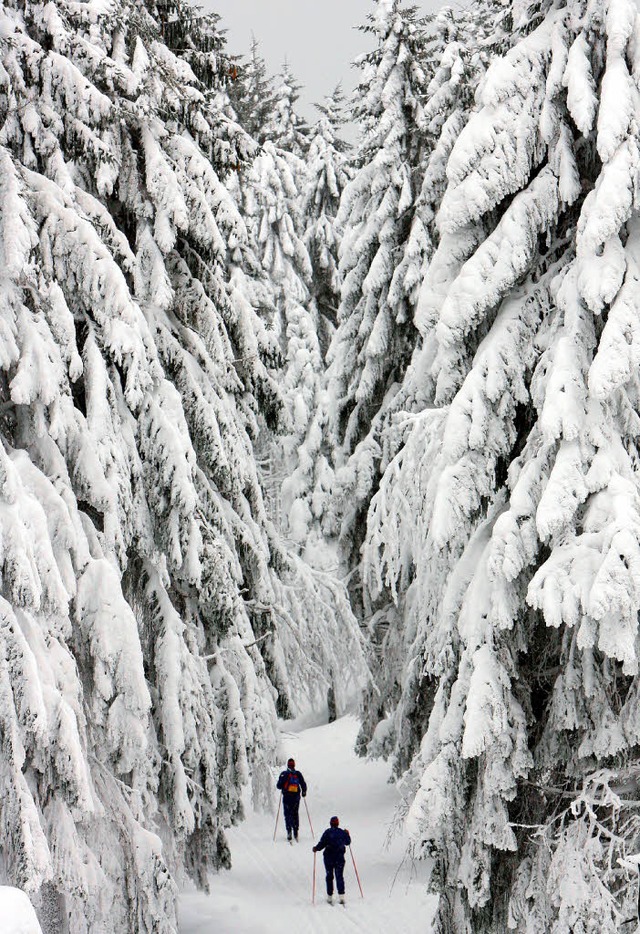 Den Thringer Wald lernt Anneliese Priewe kennen.   | Foto: dpa