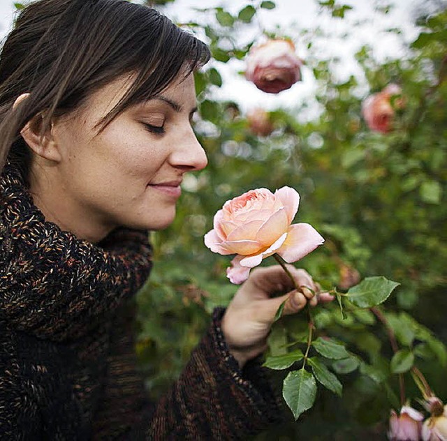 Noch blhen einige Rosen und verfhren...e einkehrt und die Pracht vorbei ist.   | Foto: pdm