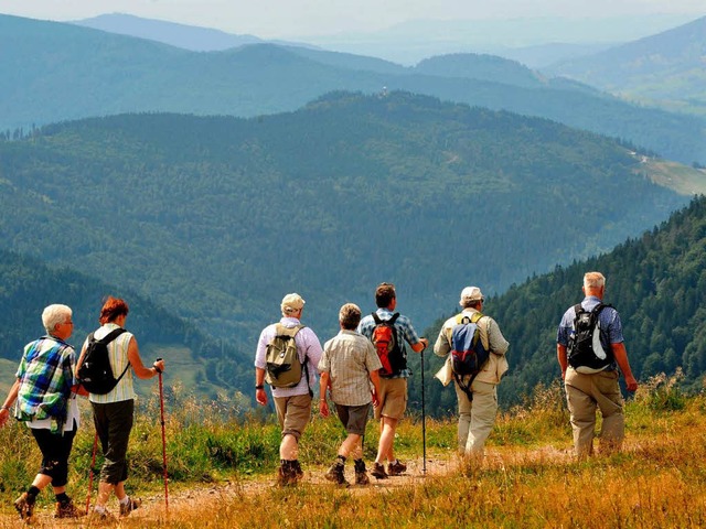 Eine Wandergruppe geht auf dem Feldberg im Schwarzwald spazieren.  | Foto: dpa