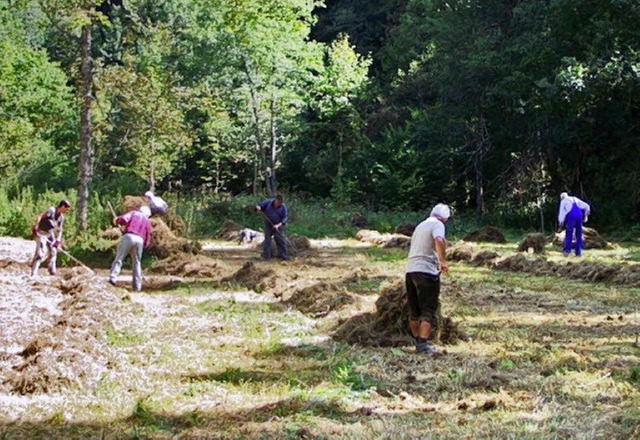 Naturfreunde mhen die Talaue in Schwarzenbach  | Foto: Privat