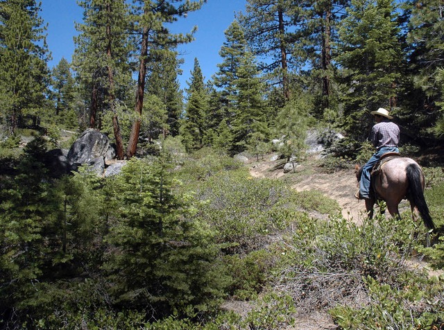 Das grne Nevada abseits der Wste: Co...reiter durch die Wlder am Lake Tahoe.  | Foto: Arne Bensiek