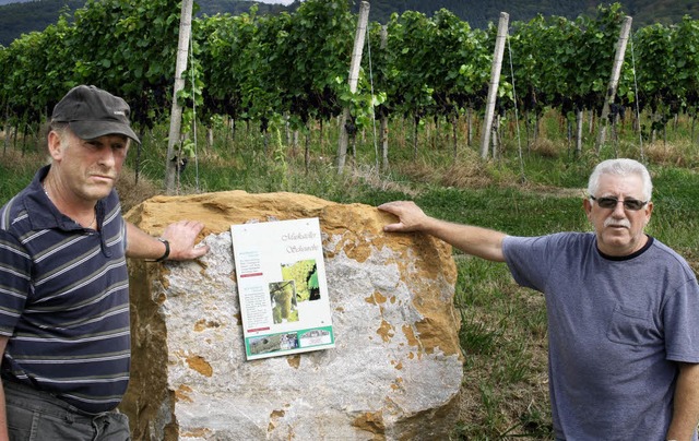 Klau Rsch (links) und Leo Enderle erw...d zum Rundgang ber den Weinlehrpfad.   | Foto: Theo Weber