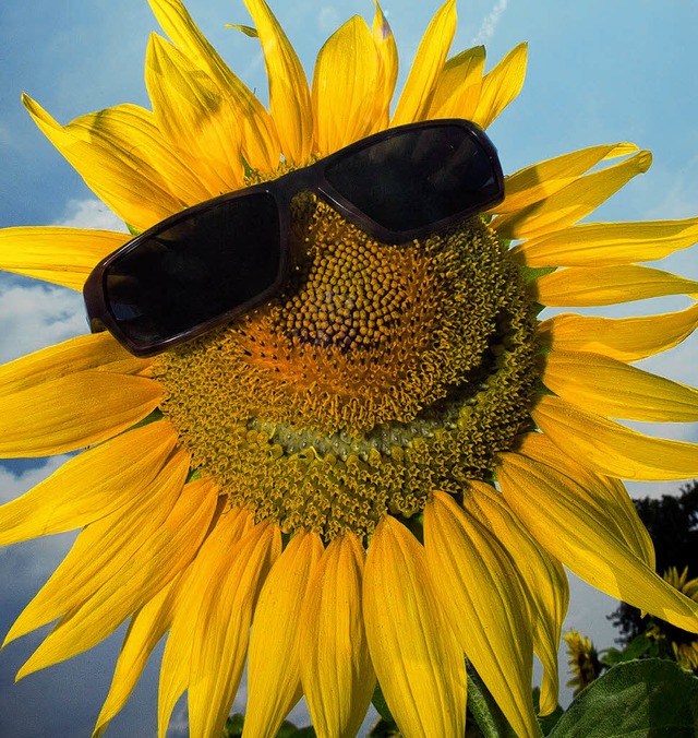 Sonne pur  im  August, auch im Mnstertal.   | Foto: dpa