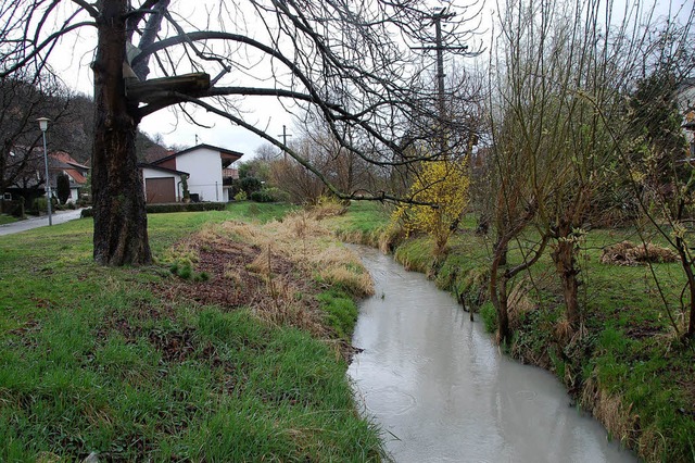 Noch in diesem Herbst sollen die Hochwasserschutzmanahmen in Istein beginnen.   | Foto: Victoria Langelott