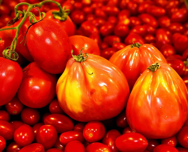 Auen rot  und innen fleischig sind sie fast alle: Tomaten  | Foto: dpa