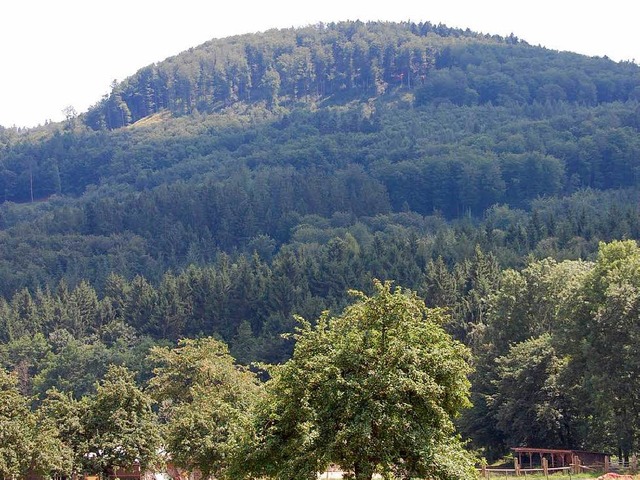 Untauglicher Buckel fr die Windkraftn...nberg in der Einschtzung der Grnen.   | Foto: Frey