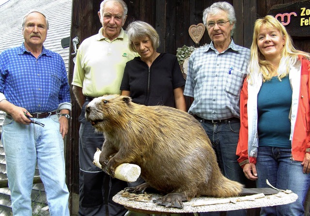 <Bildtext>Der Falkauer Biber   kehrt, ...er vom  Schwarzwaldverein.</Bildtext>   | Foto: Tina Httich