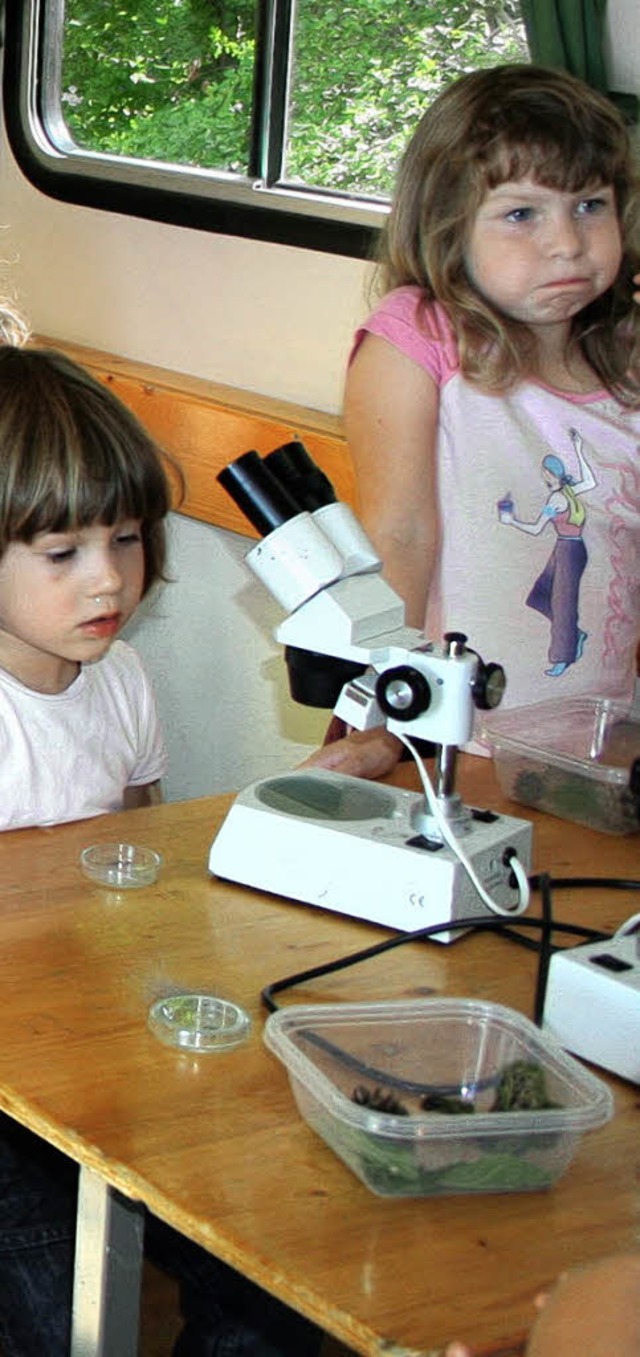 <Bildtext>Unter Mikroskopen konnten di...d Pflanzenteile betrachten.</Bildtext>  | Foto: R. Cremer
