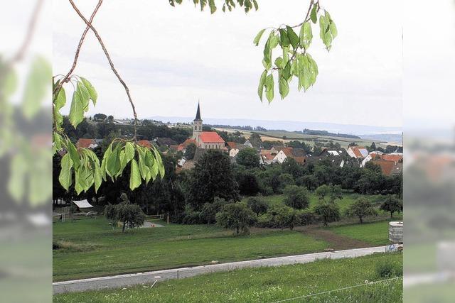 Baumbestand soll gelichtet werden