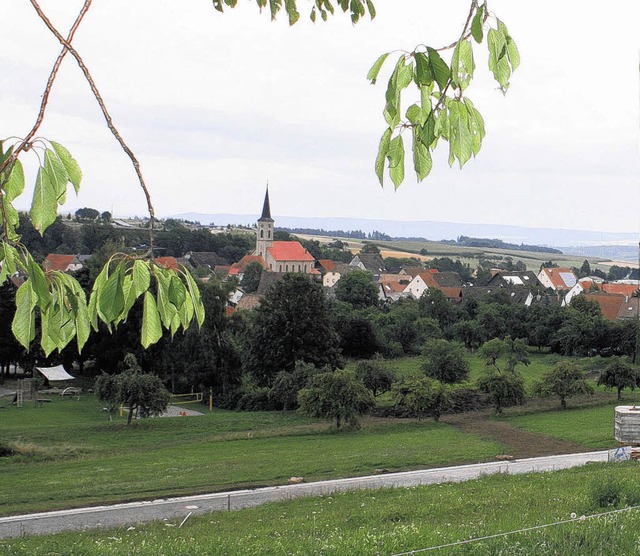 In Dggingen wird kritisiert, dass    ...Bume den Blick aufs Dorf behindern.    | Foto: Minzer