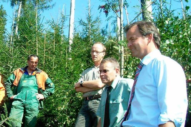 Lothar hinterlsst in der Ortenau kaum noch Spuren