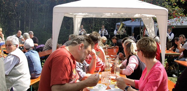 Die Wiesentler Musiker von &#8222;Hei...Waldfest der Todtnauberger Feuerwehr.   | Foto: Ulrike Jger